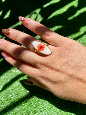 Anello Rose ✨